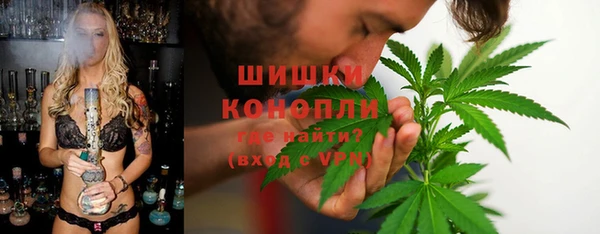 дживик Аркадак