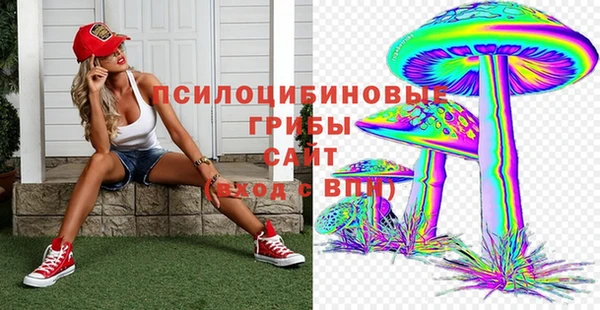 трава Арсеньев