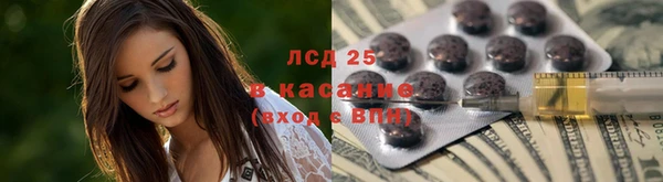 дживик Аркадак
