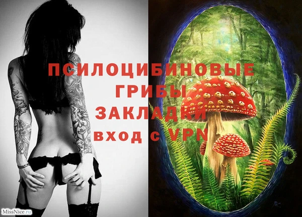 трава Арсеньев