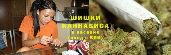 трава Арсеньев