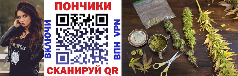 Марихуана THC 21%  Шадринск 